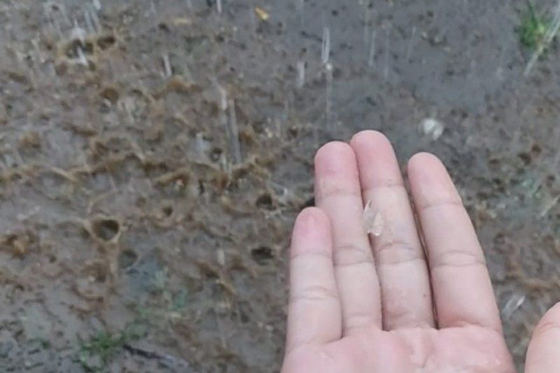 podiumnews.com-Hujan Es di Lombok Timur Akibat Awan Cumulonimbus