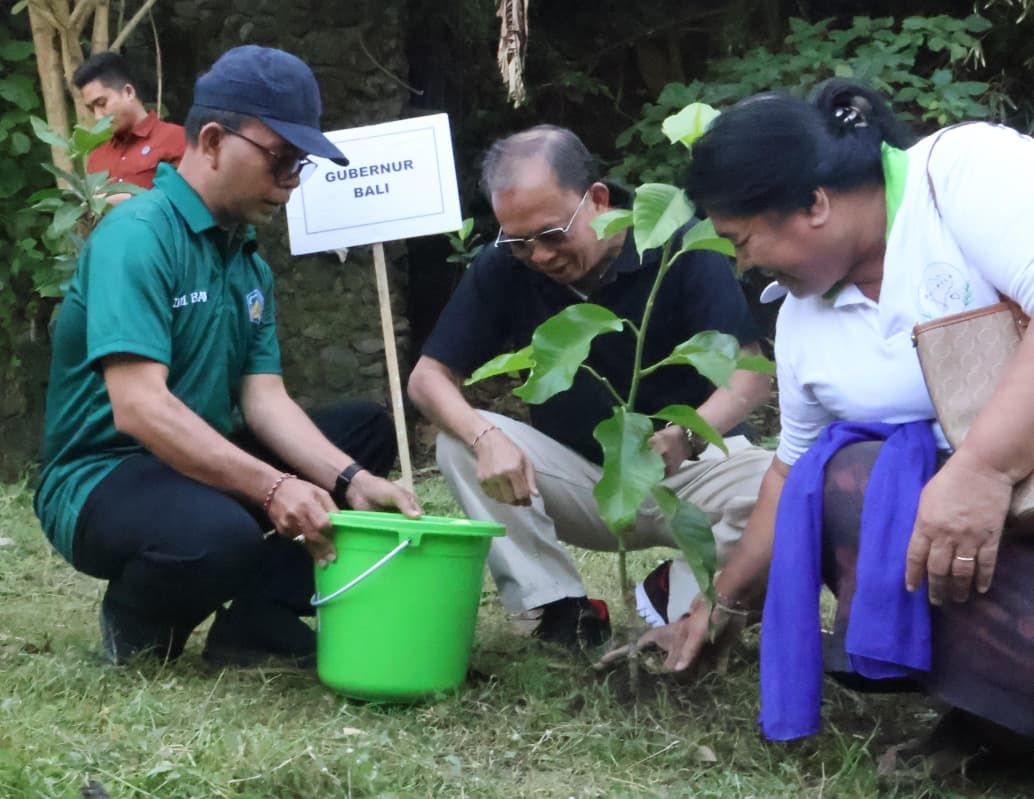 podiumnews.com-Menteri LH dan Gubernur Bali Tanam Pohon di Kesiman