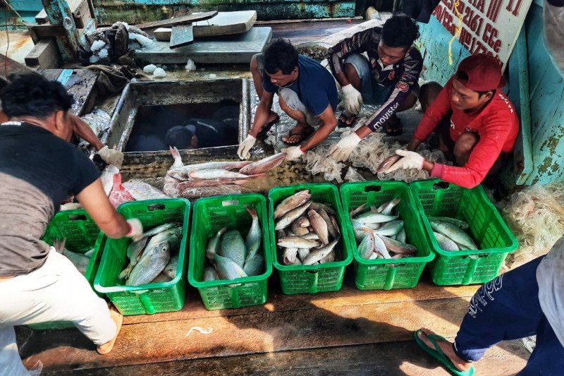 podiumnews.com-HNSI Minta KKP Dipimpin oleh Figur Profesional dan Nonpartai