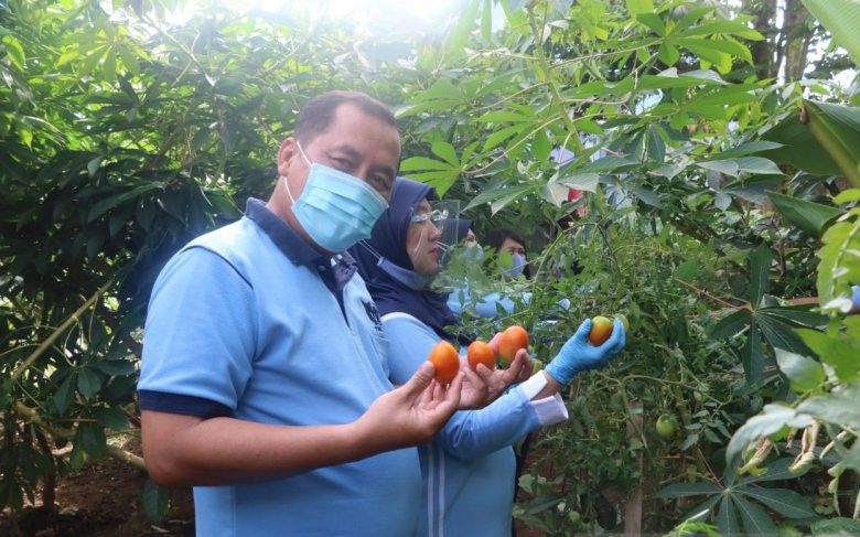 podiumnews.com-Lanud I Gusti Ngurah Rai Dukung Ketahanan Pangan di Tengah Pandemi