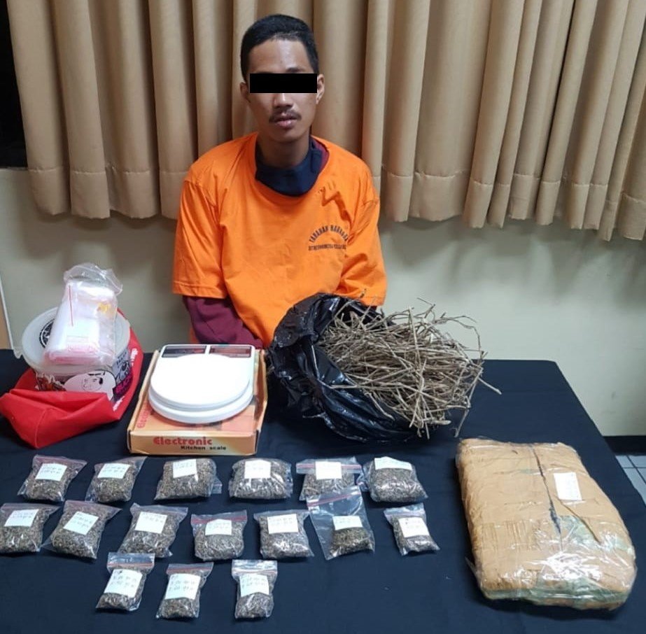 Polda Bali Bekuk Bandar Narkoba, Barang Bukti 1,2 Kg Ganja