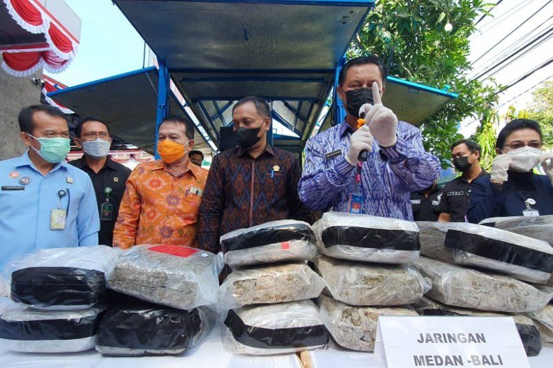 podiumnews.com-BNNP Bali Musnahkan 48 Kg Ganja dari Jaringan Lapas Lintas Provinsi