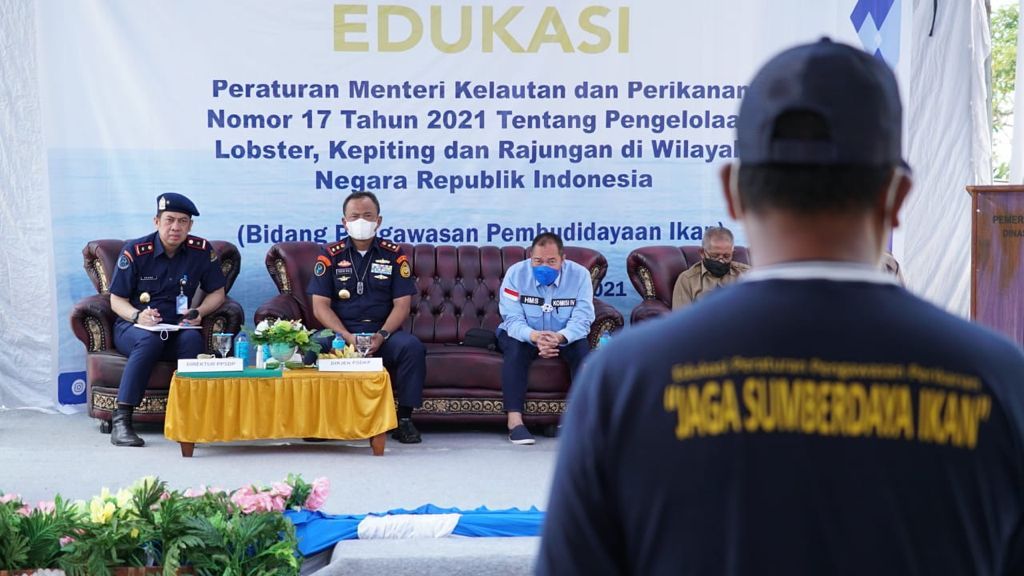 podiumnews.com-KKP Minta Pembudidaya Lobster Lengkapi Perizinan Berusaha