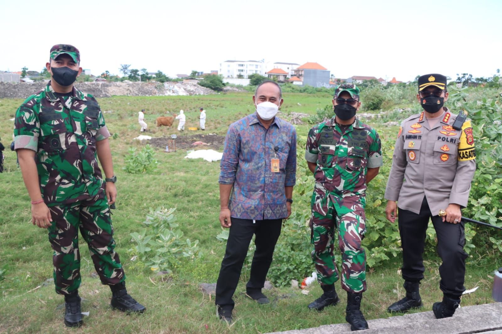 podiumnews.com-Sebanyak 63 Sapi Terinfeksi PMK di Denpasar Dipotong