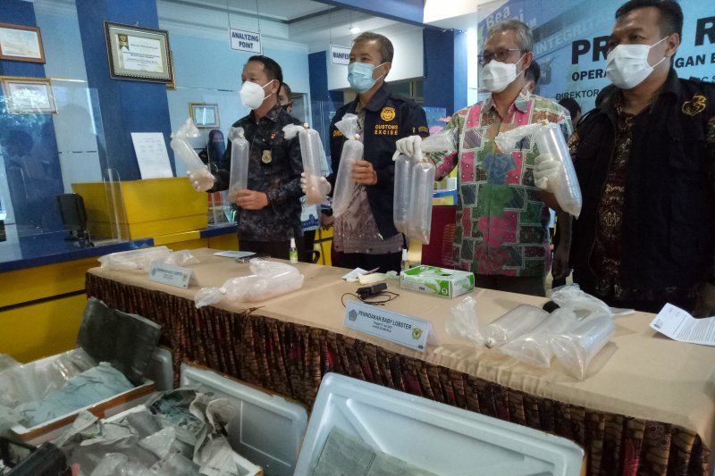 podiumnews.com-Tim Gabungan Gagalkan Penyelundupan Benur Rp33,8 Miliar di Palembang
