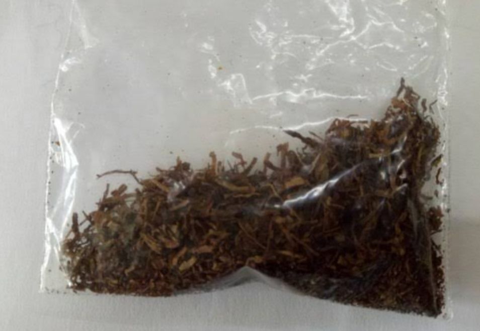 Dibui Pidana 10 Tahun, Penjual Tembakau Gorila Ajukan Banding