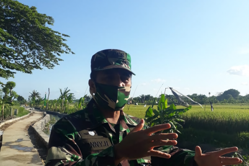 Kapendam Udayana: Peran TMMD Bantu Sektor Ekonomi di Desa Kertalangu