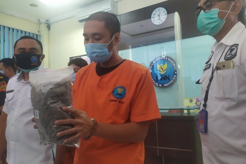 podiumnews.com-Gitaris Band di Bali Terancam Penjara Miliki 1,4 KG Ganja