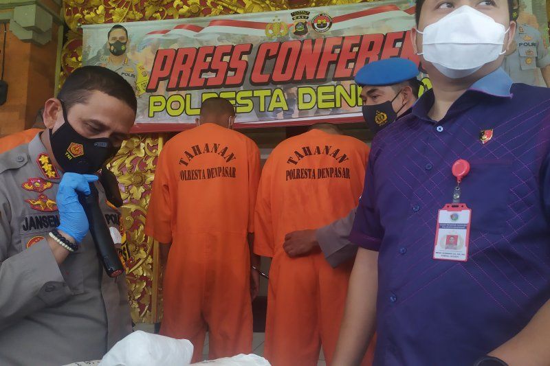 podiumnews.com-Dua Bandar Ganja Lintas Provinsi di Tangkap Polresta Denpasar