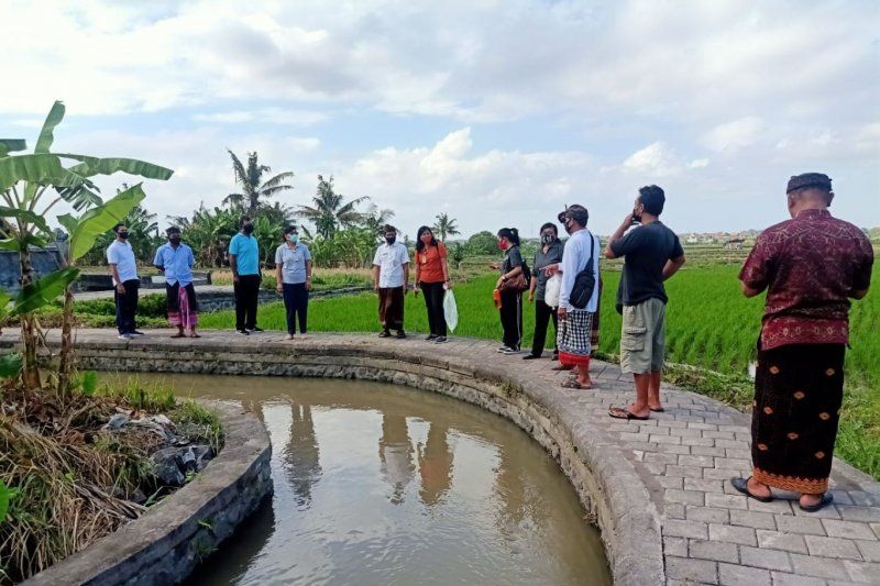 podiumnews.com-Dinas Perikanan Denpasar Tebar Puluan Ribu Benih Ikan Nila