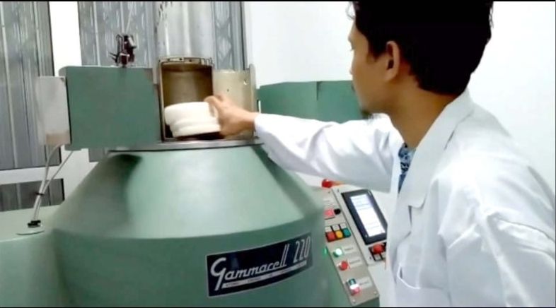 podiumnews.com-Perbaikan Varietas Porang dengan Teknologi Iradiasi Gamma