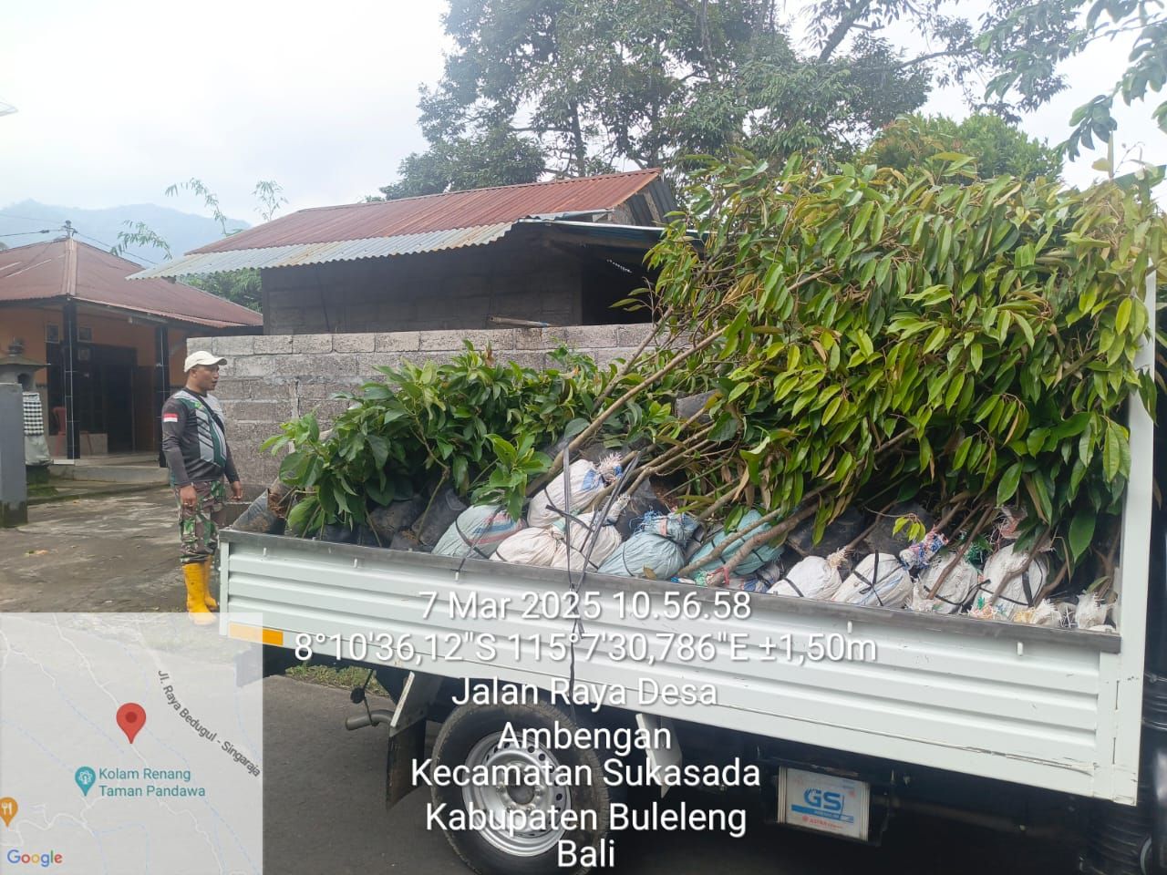 podiumnews.com-KPH Bali Utara Klarifikasi Isu Pembabatan Hutan di Desa Ambengan