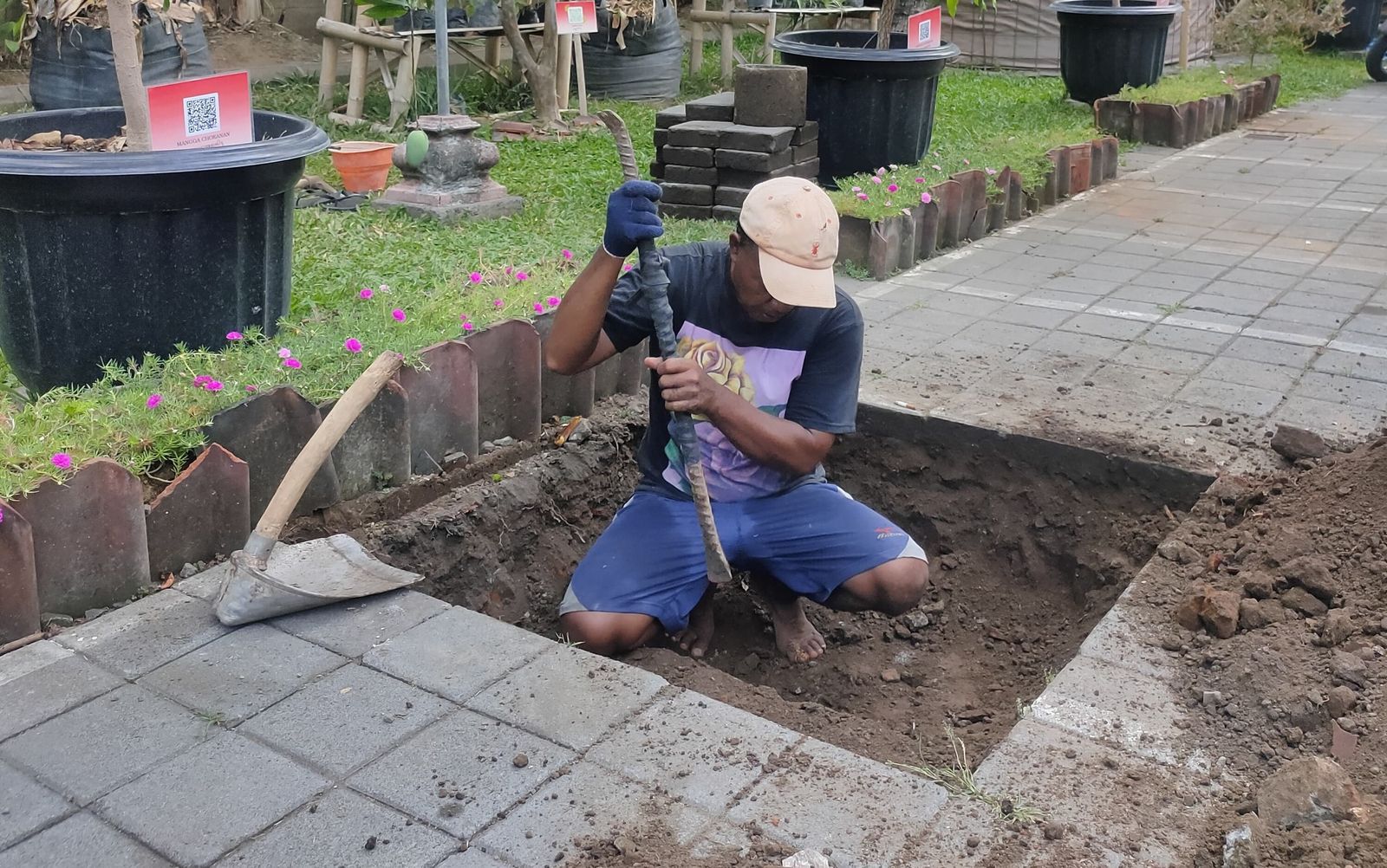 podiumnews.com-Kantor Camat Denpasar Barat Olah Sendiri Sampah Organik
