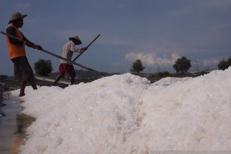 podiumnews.com-Bupati Klungkung: Produksi Garam Beryodium Terus Berkembang