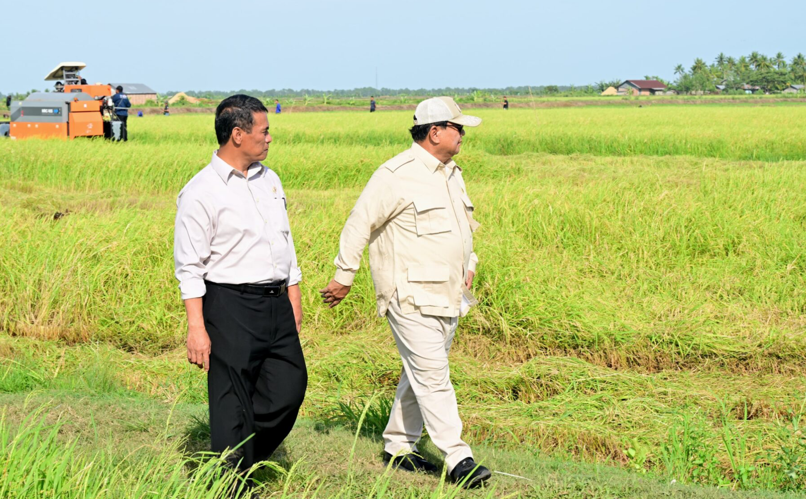 Berkunjung ke Papua Selatan, Presiden Prabowo Tinjau Langsung Panen Padi di Merauke