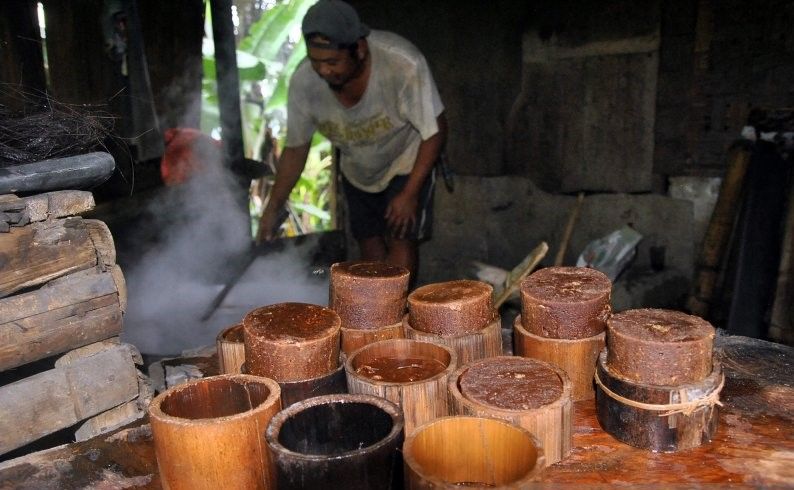 Desa Pedawa Buleleng Gencar Tanam Pohon Aren