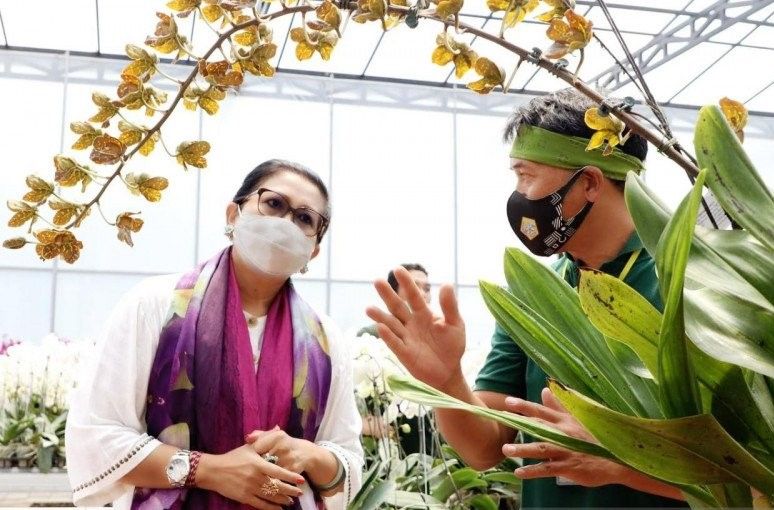 podiumnews.com-Ny. Putri Koster Ingin Anggrek Asli Bali Dipamerkan 