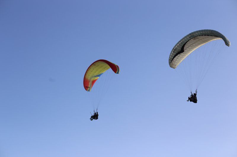 HIPMI: Tren Bisnis Online Saat COVID, Miliki Nilai Jual Tinggi