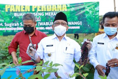 podiumnews.com-Sembuh dari Covid-19, Sugirah: Terus Berpikir Positif