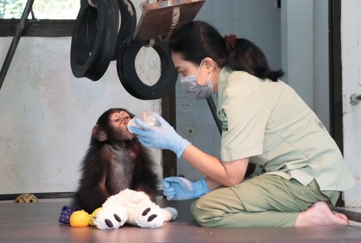 podiumnews.com-Protokol Kesehatan di Tengah Mulai Pulihnya Geliat Wisata