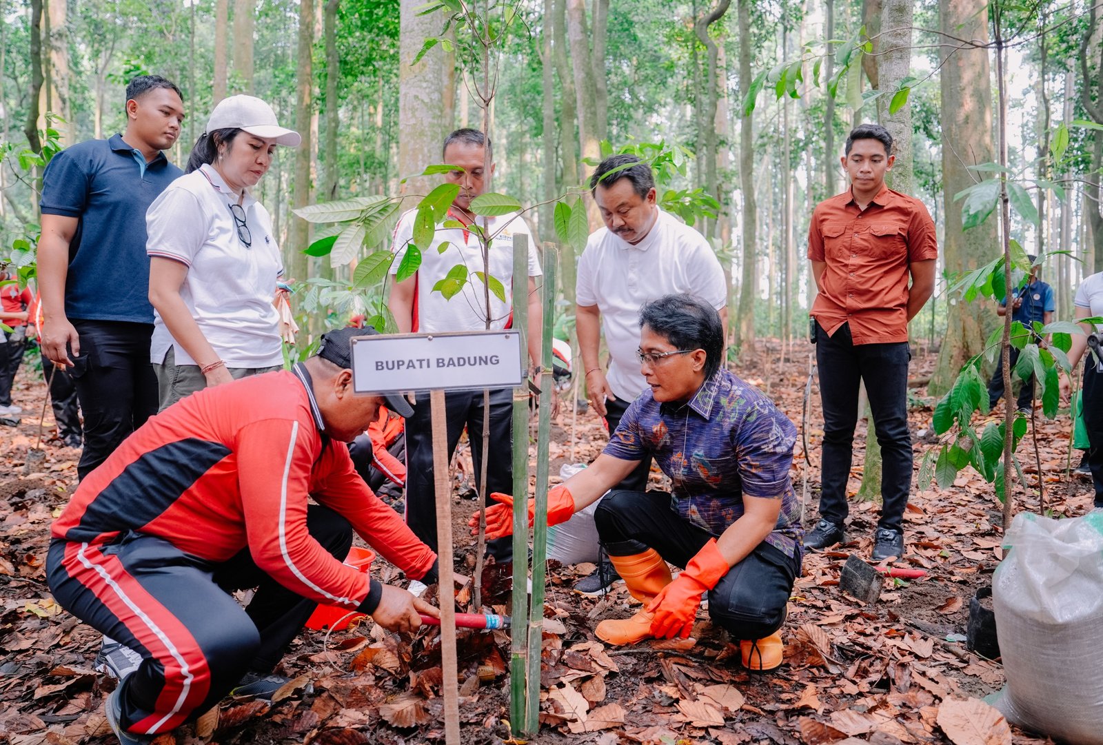 Merawat Bumi Lindungi Sumber Air, Giri Prasta Tanam 1000 Pohon Pala di Alas Pala Sangeh