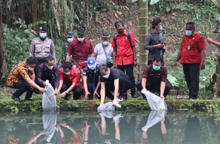 podiumnews.com-Dorong Program Gemarikan, Pemkab Badung Tebar 20 Ribu Benih Ikan Nila 