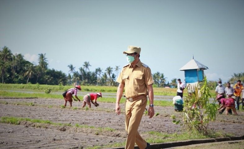 podiumnews.com-Badung Komitmen Kembangkan Sektor Pertanian Saat Pandemi