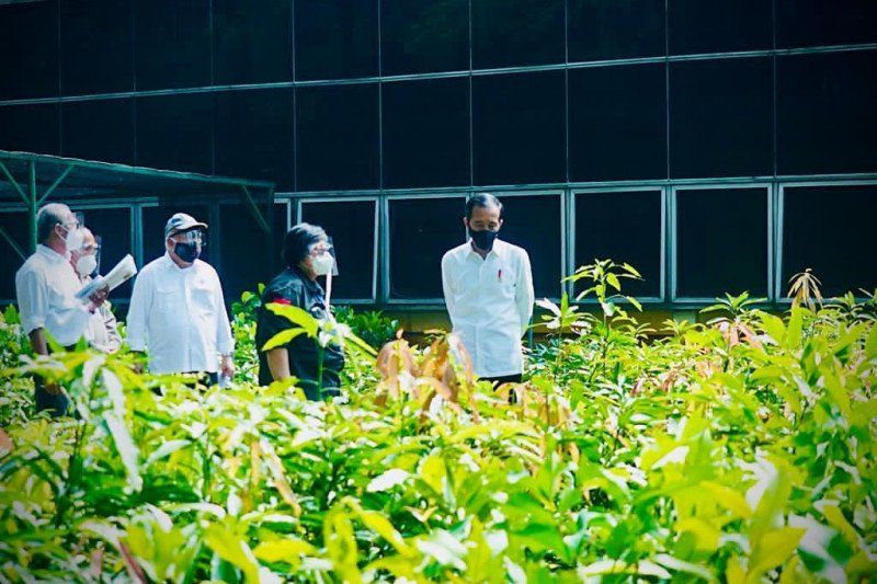 Atasi Bencana Ekologis, Presiden Tinjau Pusat Pembibitan