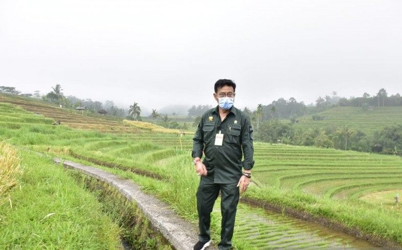 podiumnews.com-Mentan Dorong Budidaya Mina Padi di Agrowisata Jatiluwih