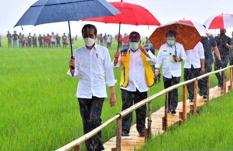 podiumnews.com-Istana Jelaskan Masalah Kerumunan Warga Sambut Presiden Jokowi di Maumere