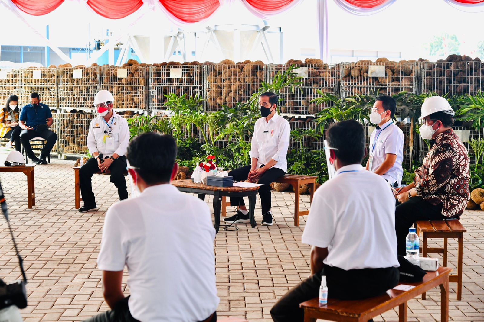 podiumnews.com-Saat Petani Milenial Cerita ke Jokowi Soal Prospek Cerah Bertani Porang