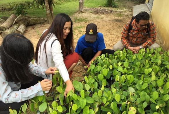 podiumnews.com-Selamatkan Lingkungan melalui Pemanfaatan Pestisida Nabati