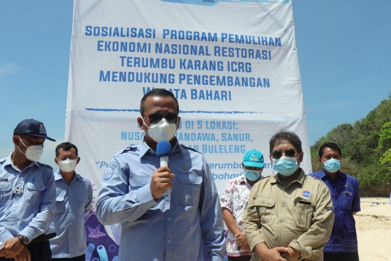 podiumnews.com-Program PEN Restorasi Terumbu Karang Ditargetkan Selesai Desember