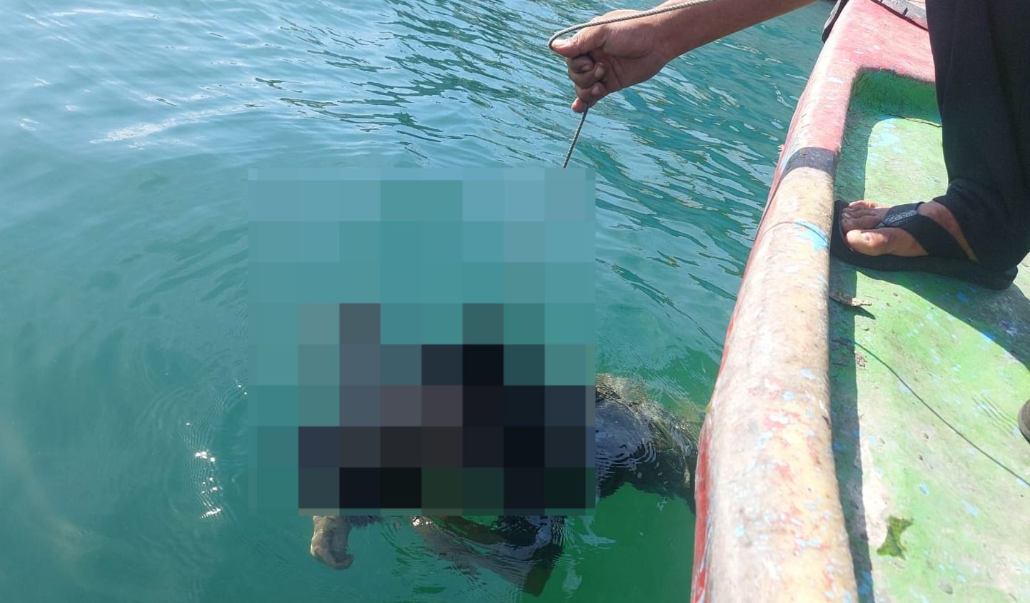 podiumnews.com-ABK Ditemukan Tewas Mengapung di Benoa