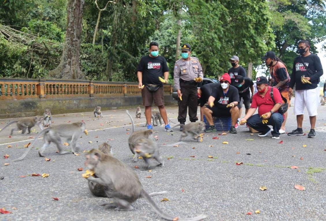 Tabanan Upayakan Pemulihan Ekonomi Rakyat di Era New Normal