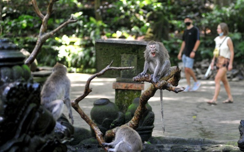 Syarat Kunjungan ke Bali Tak Pengaruhi Pemesanan di RedDoorz