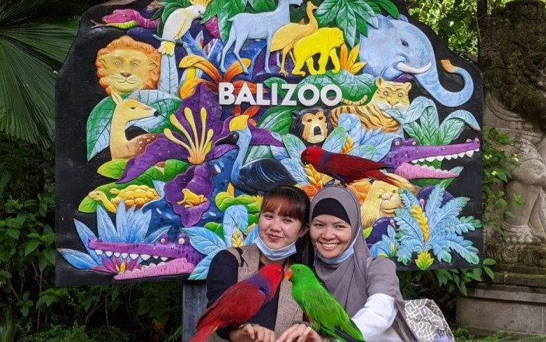 podiumnews.com-Bali Zoo Kembali Bangkit di Tengah Pandemi COVID-19