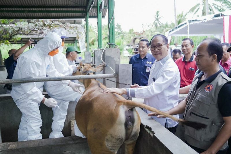 podiumnews.com-Wabup Suiasa Optimis Badung Bisa Capai Target Vaksinasi PMK