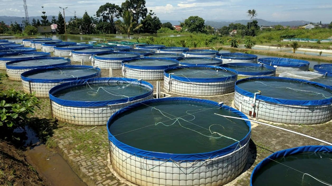 podiumnews.com-Legislator Kritisi KKP Potong Alokasi Bantuan Budi Daya Ikan