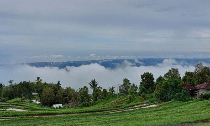 podiumnews.com-Mewujudkan Mimpi Desa Panji Anom Menjadi Destinasi Wisata Alam