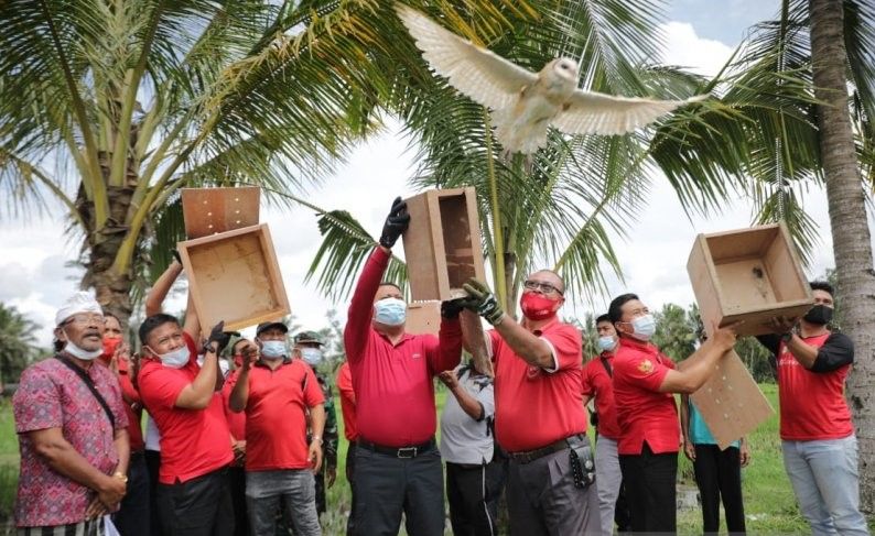 Bupati Gianyar Lepas Burung Hantu untuk Kendalikan Hama Tikus