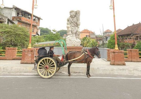 podiumnews.com-Heritage City Tour Denpasar Operasikan Dokar Tamasya 