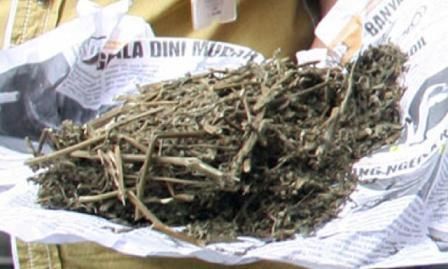 podiumnews.com-Bawa 2,8 kg Ganja, Pria Asal Lampung ini Dihukum 17 Tahun