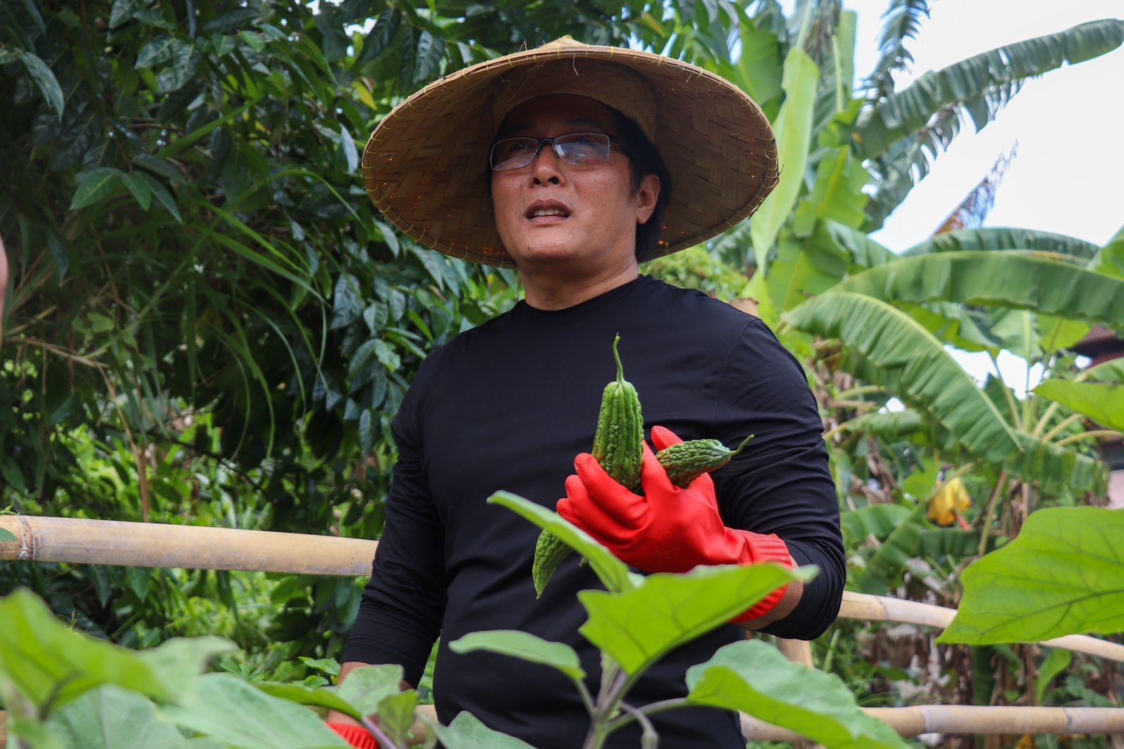 podiumnews.com-Bupati Badung Rancang Insentif Bagi Petani