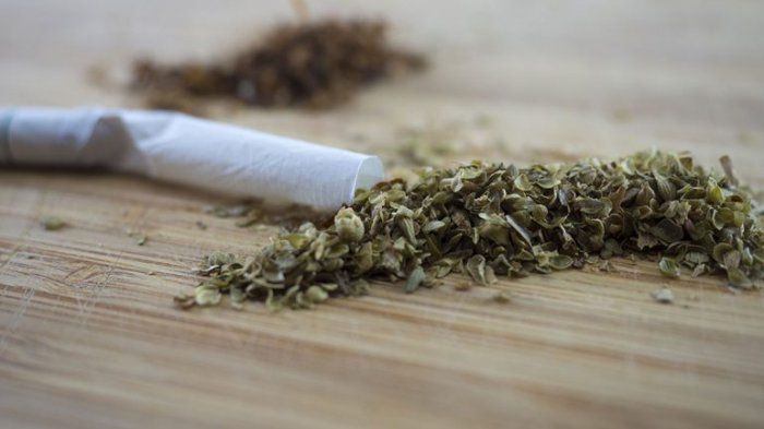 podiumnews.com-Miliki Ganja, Bule Asal Rusia ini Dituntut 8 Tahun Penjara