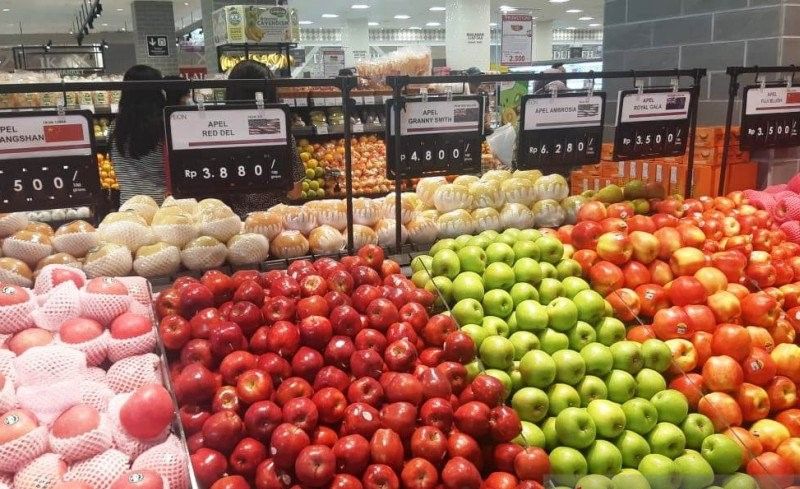 podiumnews.com-Kombinasi Gizi Plus Olahraga Sama Dengan Imun