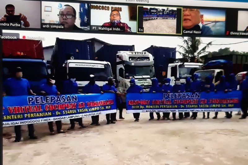 Peluang Ekspor Produk Olahan Kelapa Indonesia Dinilai Besar