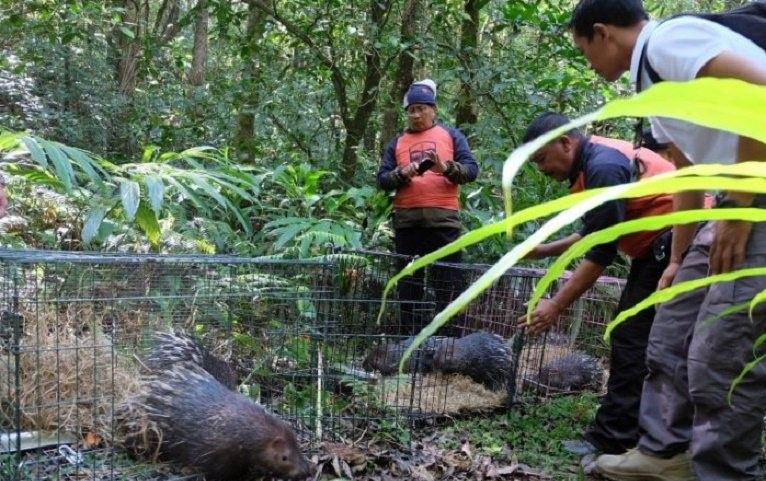 Danau Tamblingan Buleleng Dirancang Destinasi Wisata Spiritual