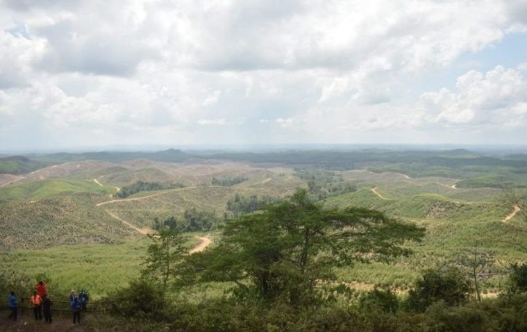 podiumnews.com-Rencana Pemindahan Ibu Kota Negara Sudah Masuk Tahap Finalisasi