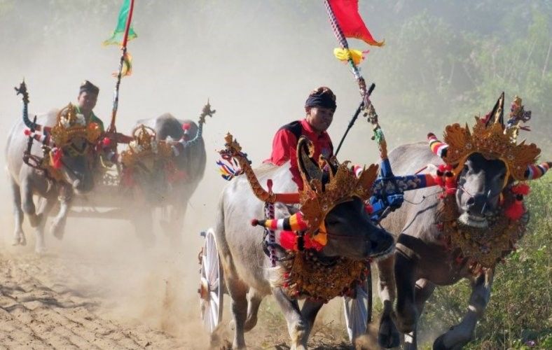 podiumnews.com-Kejari Negara Tahan Kadis Pariwisata Jembrana